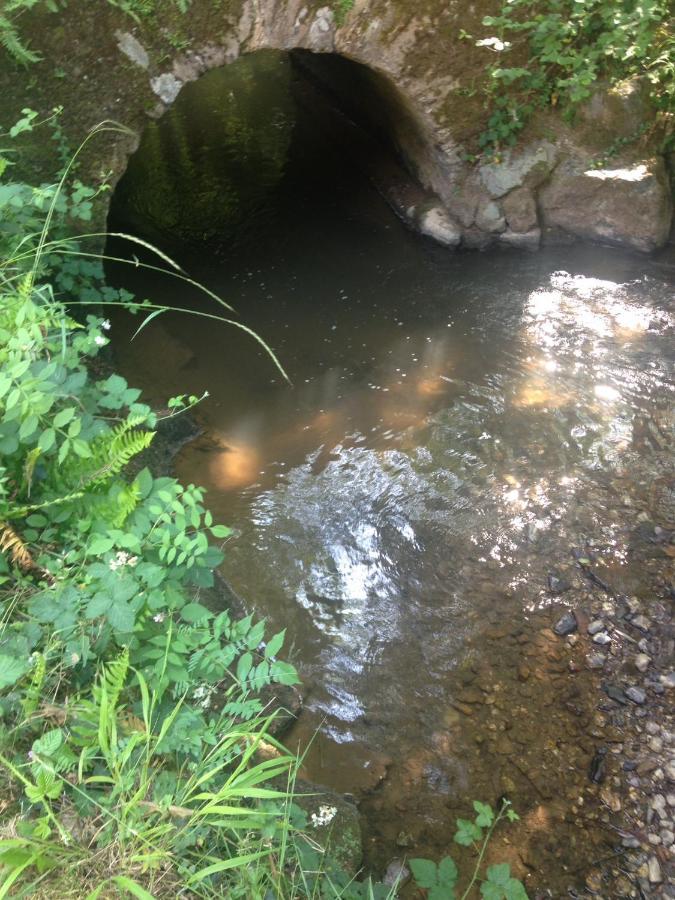 Mouzieys-TeuletDomaine Du Moulin住宿加早餐旅馆 外观 照片